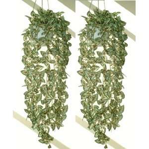  2 x 37 Begonia Rex Ivies, Artificial Hanging Plants