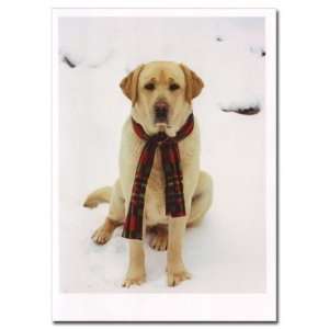  Yellow Labrador in Snow Christmas Cards 