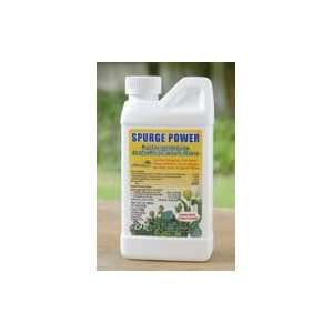  Spurge Power Broadleaf Herbicide Quart 