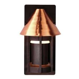 Forecast F8424 23 Lakeview Outdoor Wall Sconce Shade, Metal, Satin 