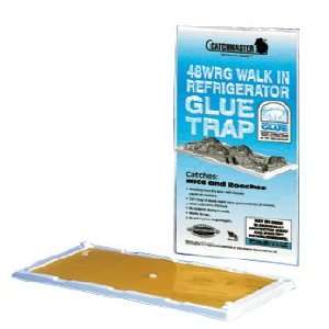  Catchmaster Cold Temperature Glue Board Trap (48WRG)   1 