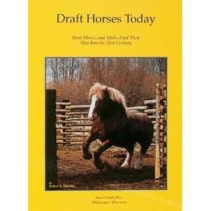  Draft Horses Today [Hardcover] Robert Mischka Books