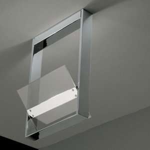  Ala Ceiling Light