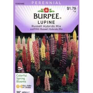  Burpee 43927 Lupine Russell Hybrids Mix Seed Packet Patio 