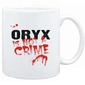   White  Being a  Oryx is not a crime  Animals