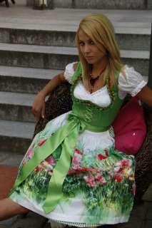 COUNTRY LINE 2011 TRAUMHAFTES HINGUCKER DIRNDL Gr. 36  