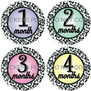 Baby Girl Monthly Onesie Picture Stickers Minty Damask  
