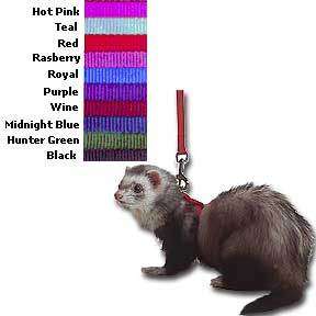 Marshall Ferret Harness and 48 inch Lead  