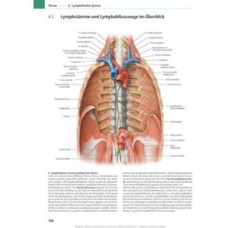 PROMETHEUS Lernatlas der Anatomie. Hals und Innere Organe  