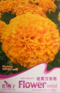 A004 Flower Orange Aztec Marigold Tagetes Erecta Seed D  