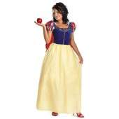 Disney Princess   Adult Halloween Costumes 