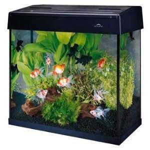  Eclipse System 25gal Combo (25 Gallon Tank,200gph Pump 