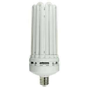 277 Volt) 200 Watt CFL Light Bulb   Compact Fluorescent   8U   850 