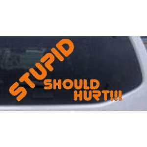  Stupid Should Hurt Funny Car Window Wall Laptop Decal 