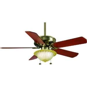   Blade Ceiling Fan   Multiple Light and Blade Options
