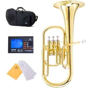  Cecilio 2Series AH 280 Lacquer Eb Alto Horn with Stainless 