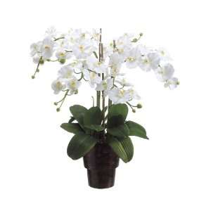   Artificial White Phalaenopsis Orchid Silk Flower Plant