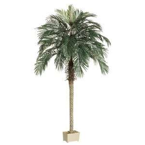   Pack of 2 Potted Artificial Silk Phoenix Palm Trees 7