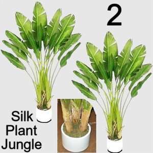 Silk Artificial 5 foot 6 inch Triple Travelers White Bird Palm Tree 