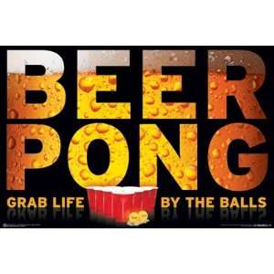 Beer Pong   Grab Life by the Balls   Wood Plaqued Poster (Silver) 24 