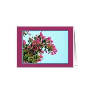  Pink Butterfly Bush Blank Notecard Card Health & Personal 