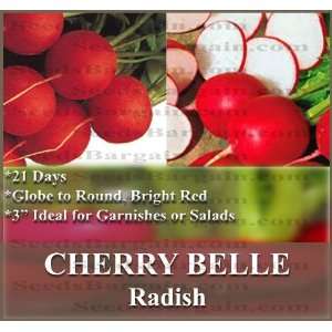  1 oz (2,900+) CHERRY BELLE Radish seeds ONLY 21 DAYS 