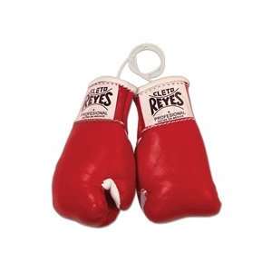  Cleto Reyes Cleto Reyes Mini Boxing Gloves Sports 