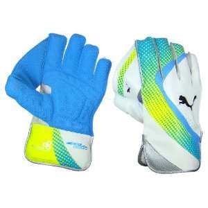   Calibre 3000 Cricket Wicketkeeping Gloves   Mens