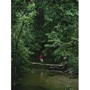  A Woman Crosses a Fallen Tree Across a Rain Forest River 