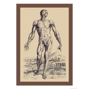   Plate of the Muscles by Andreas Vesalius 12x18