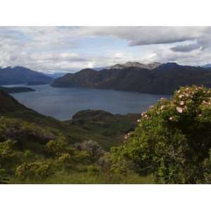  View of Lake Wanaka, 311M Deep, from Mount Roy Peak, Otago 