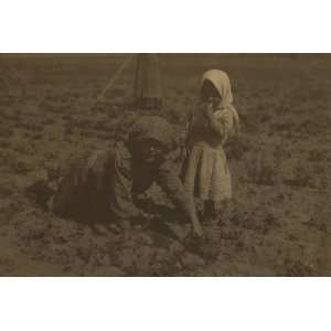 1915 child labor photo Eleven year old Elizabeth who has been working 