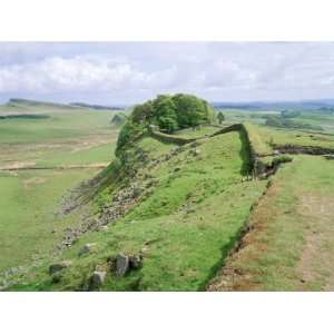  Housesteads, Hadrians Wall, Northumberland, England, UK 