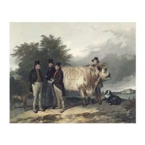  Four Men With A Bull by Richard Ansdell, 29x24