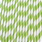 50 Green and White Striped Paper Straws   Vintage Inspired