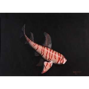  Striped Horn Shark by Steve Shachter. Size 10.50 X 7.50 