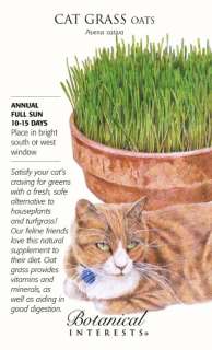 Cat Grass (Oats) Seeds   45 grams  