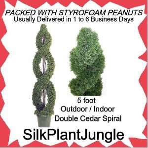   Double Cedar Twisting Spiral Topiary Tree Plant packed in peanuts