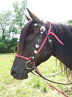 Rope Horse Tack Noseband with Tie Down set choose color  