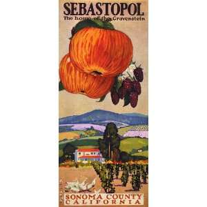 APPLE CHICKEN FARM SEBASTOPOL SONOMA COUNTY CALIFORNIA VINTAGE POSTER 