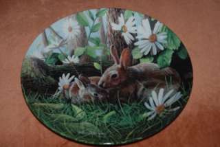 Knowles/Kevin Daniel Ltd Ed Plate THE RABBIT  