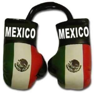  Mexico Flag Mini Boxing Gloves
