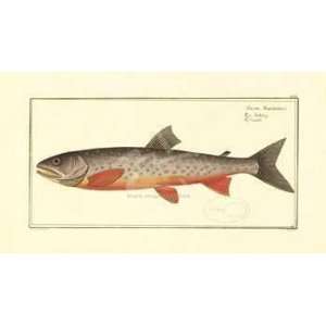  Bloch   Salmon Canvas