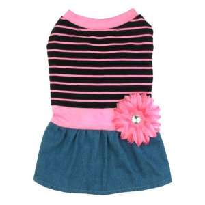 Capelli New York Pet Tee W/Skirt Lovely Daisy With Stripe 