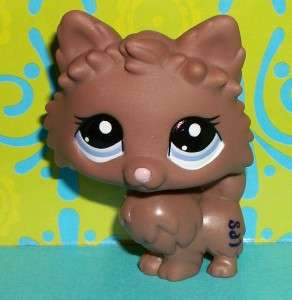 Littlest Pet Shop~#2449 CHOCOLATE BROWN POMERANIAN DOG Purple Eyes 