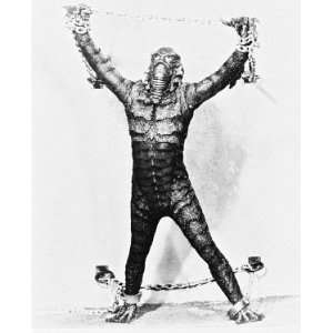  BEN CHAPMAN THE GILL MAN CREATURE FROM THE BLACK LAGOON 