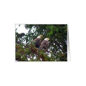  Two Bald Eagles in Hemlock Tree in Alaska Card Health 