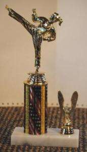 10 11 Karate Martial Arts Trophy Award w/trim  