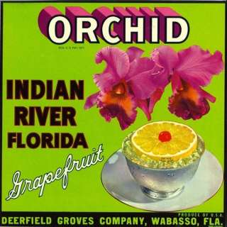 Orchid Vintage Citrus Crate Label Wabasso, Florida  