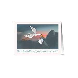   stork , baby and clouds,birth, our bundle of joy has arrived.Boy Card